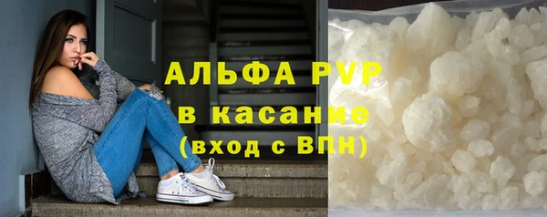 PSILOCYBIN Корсаков