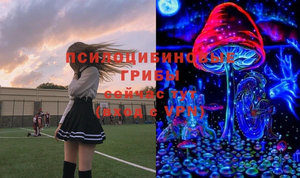 PSILOCYBIN Корсаков