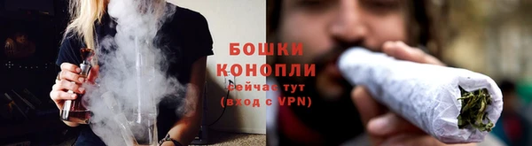 PSILOCYBIN Корсаков