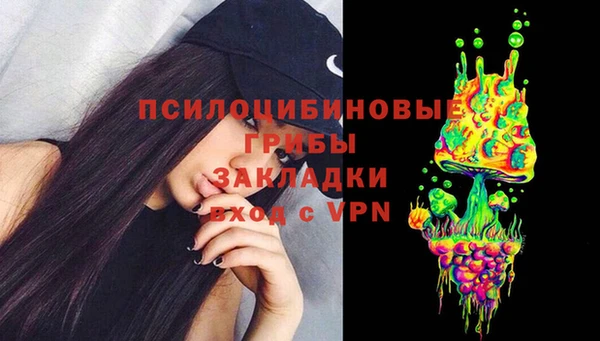 PSILOCYBIN Корсаков
