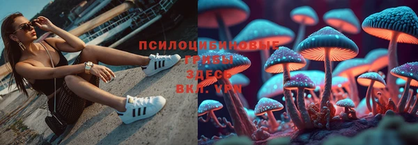 дурь Коряжма