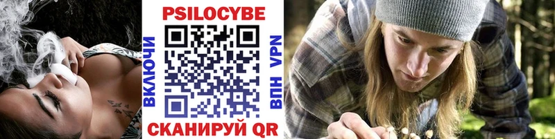 Галлюциногенные грибы Cubensis  купить наркотик  ссылка на мегу   Шарья 